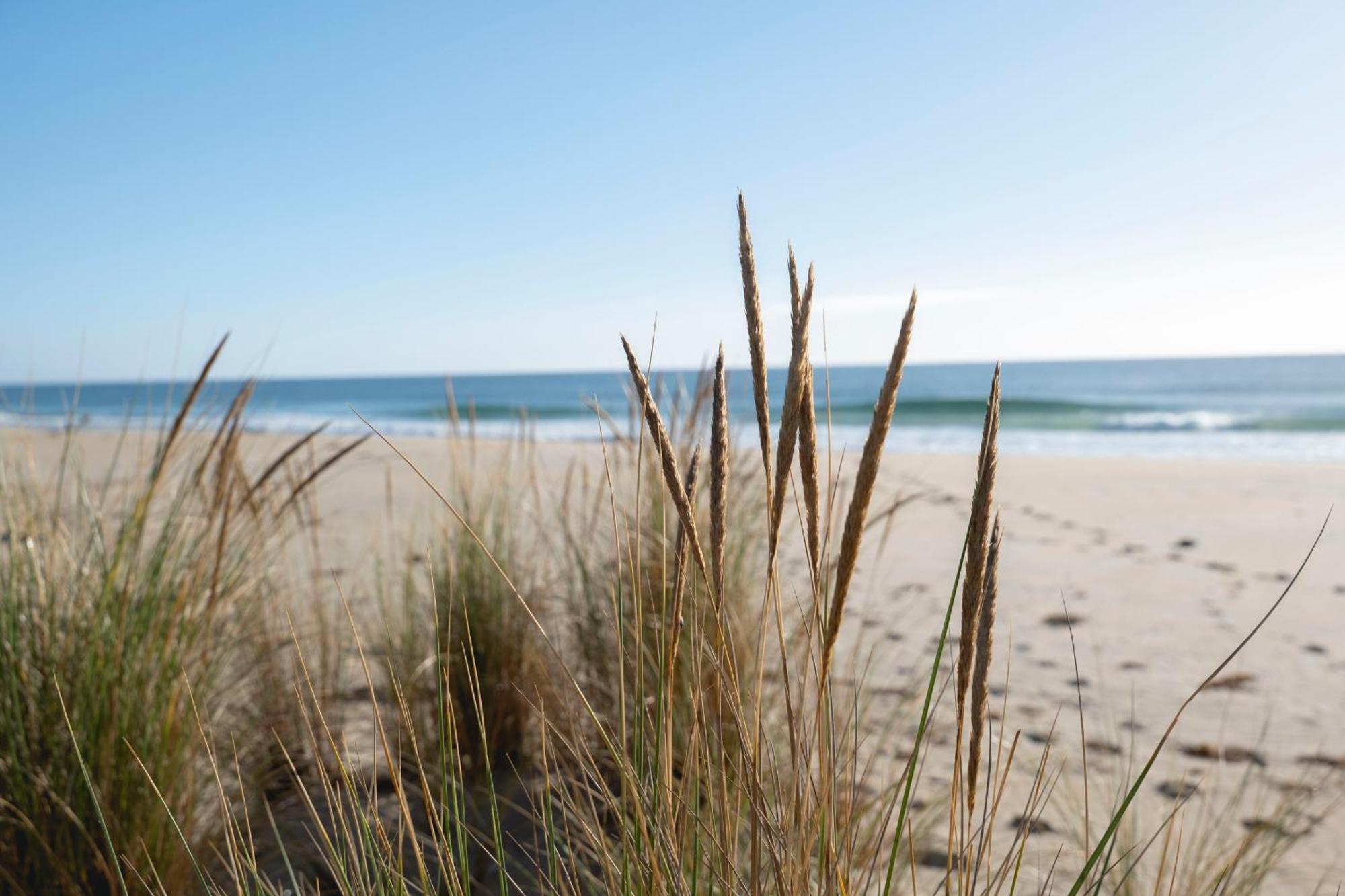 Blue Seas Holiday Villas Scamander Esterno foto